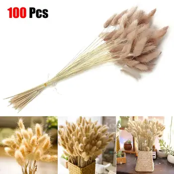 Naturally 100 Pieces Flowers Dogtail Grass Dried Bouquet Home Decoration For Party Wedding Flower Bouquet
Naturally 100 Pieces Flowers Dogtail Grass Dried Bouquet Home Decoration For Party Wedding Flower Bouquet