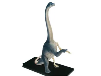 

4d master puzzle Assembling toy Animal Biology Dinosaur organ anatomical model medical teaching model Brachiosaurus