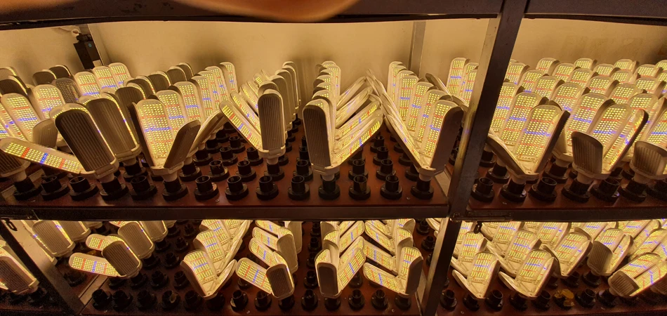 Description Picture 3 of item4pcs 2pcs 1pcs E27 LED Grow Light 200W Full Spectrum Growth Lamp Bulbs Waterproof for Indoor Outdoor Greenhouse Plant Flower Veg