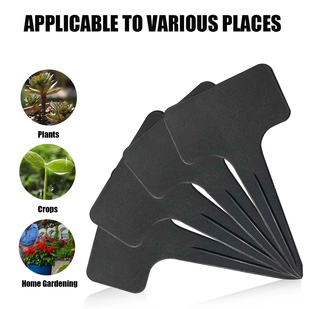 100pcs Garden Markers Insert T Type Landscape Plant Labels PP Plastic Wear Resistant Anti UV Black Blank Plaque Vegetable Tags
100pcs Garden Markers Insert T Type Landscape Plant Labels PP Plastic Wear Resistant Anti UV Black Blank Plaque Vegetable Tags