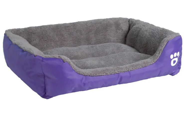 purple dog bed