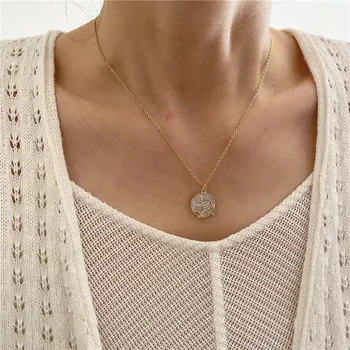 Delicate Bling Rhinestone White Shell Coin Pendant Necklace for Women Gold Color Small Circle Chain Horse Chokers Necklaces Gift
Delicate Bling Rhinestone White Shell Coin Pendant Necklace for Women Gold Color Small Circle Chain Horse Chokers Necklaces Gift