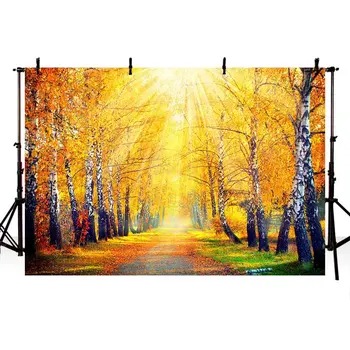 

Mehofond Vinyl Photography Background Backdrop Path in The Maple Forest Autumn Yellow Red Fall Leaves Sunshine Landscape