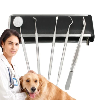 1/4/5/6PCS Pet Tartar Remover Scaling Tools Set Stainless Steel Pet Dog Tartar Remover Scaler Dog Tooth Scaler
1/4/5/6PCS Pet Tartar Remover Scaling Tools Set Stainless Steel Pet Dog Tartar Remover Scaler Dog Tooth Scaler