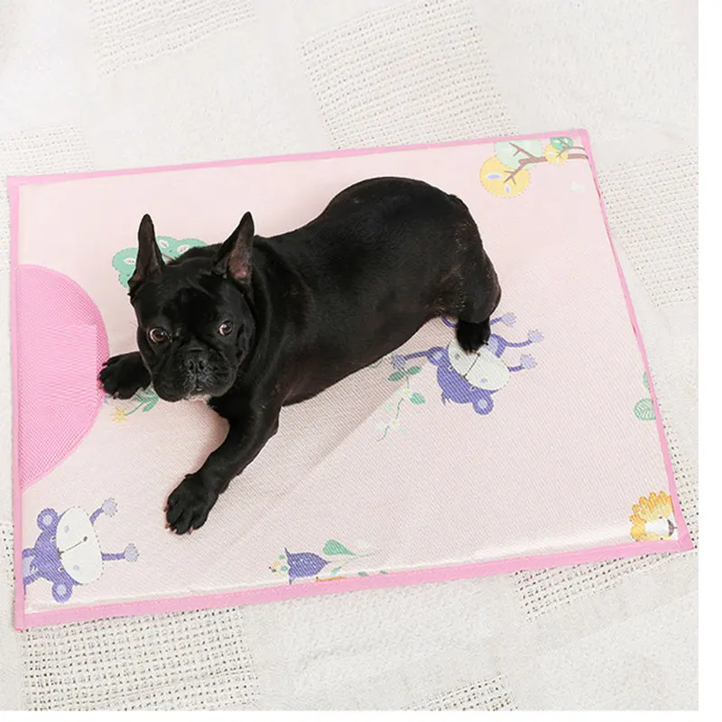 Dog Cooling Mat Pet Ice Pad Teddy Mattress Pet Cool Mat Bed Cat Cushion Summer Keep Cool Pet Cooling Dog Mat For Dogs XL XXL
Dog Cooling Mat Pet Ice Pad Teddy Mattress Pet Cool Mat Bed Cat Cushion Summer Keep Cool Pet Cooling Dog Mat For Dogs XL XXL