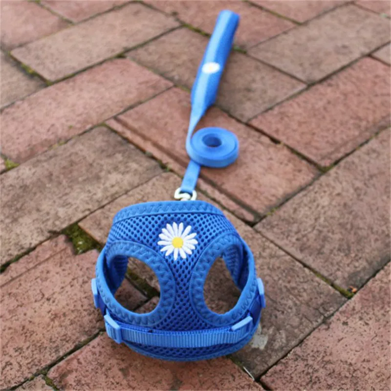 2020 Designer Cat leash and harness kit Summer Breathable mesh Puppy Dog harness Leash set cat vest harness products for pets
2020 Designer Cat leash and harness kit Summer Breathable mesh Puppy Dog harness Leash set cat vest harness products for pets