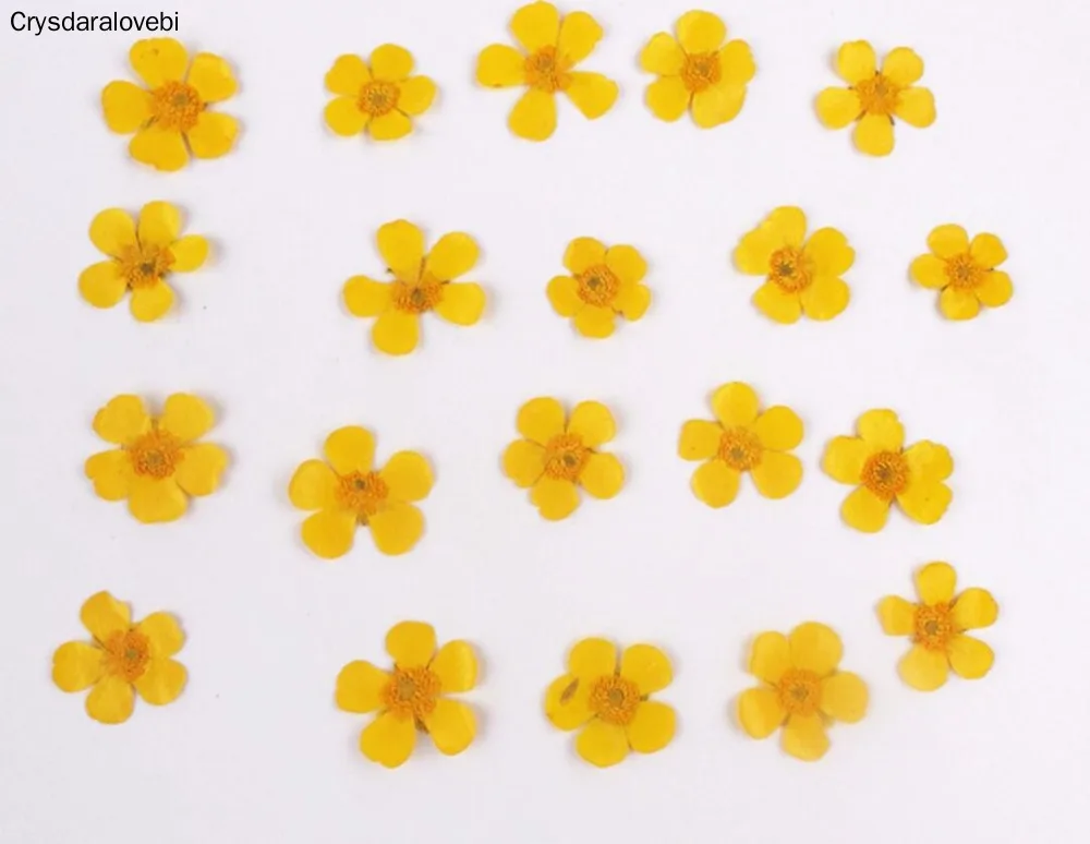 

100 шт прессованный высушенный цветок с бабочкой растения для эпоксидной смолы кулон ожерелье Изготовление ювелирных изделий ремесло DIY аксессуары