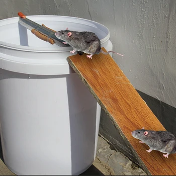 Stainless Steel Mice Rats Mousetrap Spinning Roller Killer Trap Pest Control Tool Grasp Bucket Mice Killer Trap
Stainless Steel Mice Rats Mousetrap Spinning Roller Killer Trap Pest Control Tool Grasp Bucket Mice Killer Trap
