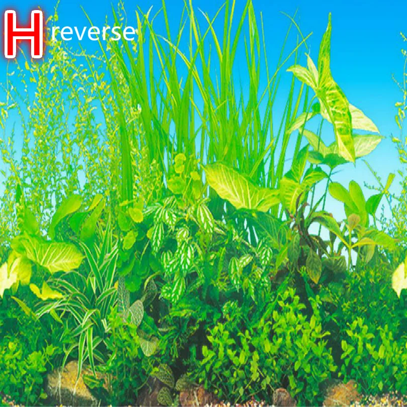 H2