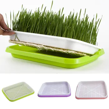 Bean Sprouts Vegetable Seedling Tray Wheat Seedling Planting Pot Bean Sprouts Flower Basket Double Layer Home Garden Sprout Tool
Bean Sprouts Vegetable Seedling Tray Wheat Seedling Planting Pot Bean Sprouts Flower Basket Double Layer Home Garden Sprout Tool