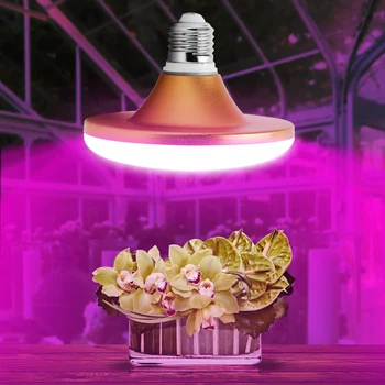 Led Grow Light E27 Full Spectrum Growth Bulb 110V 220V Growing Phyto Lights Lamps Fitolampy Grow Box for Plants Seedlings Flower
Led Grow Light E27 Full Spectrum Growth Bulb 110V 220V Growing Phyto Lights Lamps Fitolampy Grow Box for Plants Seedlings Flower