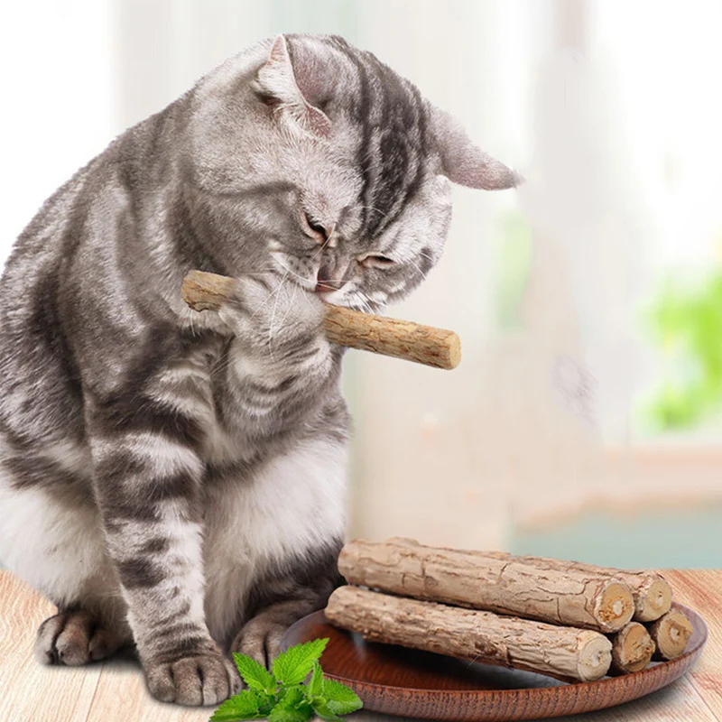 Hot 2pcs/set Natural Catnip Pet Cat Molar Toothpaste Stick Cat Snacks Sticks Pet Pure Wood Polygonum Cleaning Teeth
Hot 2pcs/set Natural Catnip Pet Cat Molar Toothpaste Stick Cat Snacks Sticks Pet Pure Wood Polygonum Cleaning Teeth