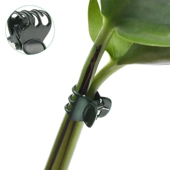 HOT!! 100pcs Reusable Plant Support Clips Clamps For Plants Hanging Vine Garden Greenhouse Vegetables Tomatoes Clips 2*1*1.5cm
HOT!! 100pcs Reusable Plant Support Clips Clamps For Plants Hanging Vine Garden Greenhouse Vegetables Tomatoes Clips 2*1*1.5cm