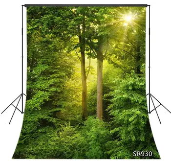 Polyester Vinyl Backdrop Nature Spring Landscape Green Forest Plant Photo Backdrops Photography Backgrounds For Photo Studio
Polyester Vinyl Backdrop Nature Spring Landscape Green Forest Plant Photo Backdrops Photography Backgrounds For Photo Studio