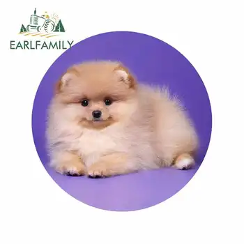 EARLFAMILY 13cm x 13cm for Pomeranian Spitz Dog Puppy Fluffy Graffiti Sticker DIY Occlusion Scratch Repair Waterproof VAN Decal
EARLFAMILY 13cm x 13cm for Pomeranian Spitz Dog Puppy Fluffy Graffiti Sticker DIY Occlusion Scratch Repair Waterproof VAN Decal