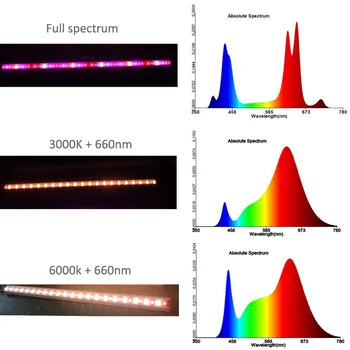 Top Selling White Mix Red Far Red UV 390nm Full Spectrum Indoor Led Grow Lights For Sale IP65 bar vertical farm used
Top Selling White Mix Red Far Red UV 390nm Full Spectrum Indoor Led Grow Lights For Sale IP65 bar vertical farm used