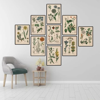Botanical Collection Vintage Posters and Prints Herbs 1898s Russian Language Wall Art Pictures Canvas Painting Home Wall Decor
Botanical Collection Vintage Posters and Prints Herbs 1898s Russian Language Wall Art Pictures Canvas Painting Home Wall Decor
