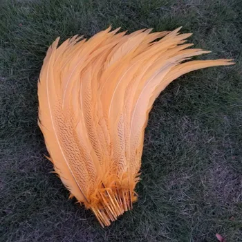 Wholesale Hot 50-100pcs Light Orange Natural silver chicken feathers 40-80cm/16-32 inch stage celebration DIY decoration
Wholesale Hot 50-100pcs Light Orange Natural silver chicken feathers 40-80cm/16-32 inch stage celebration DIY decoration