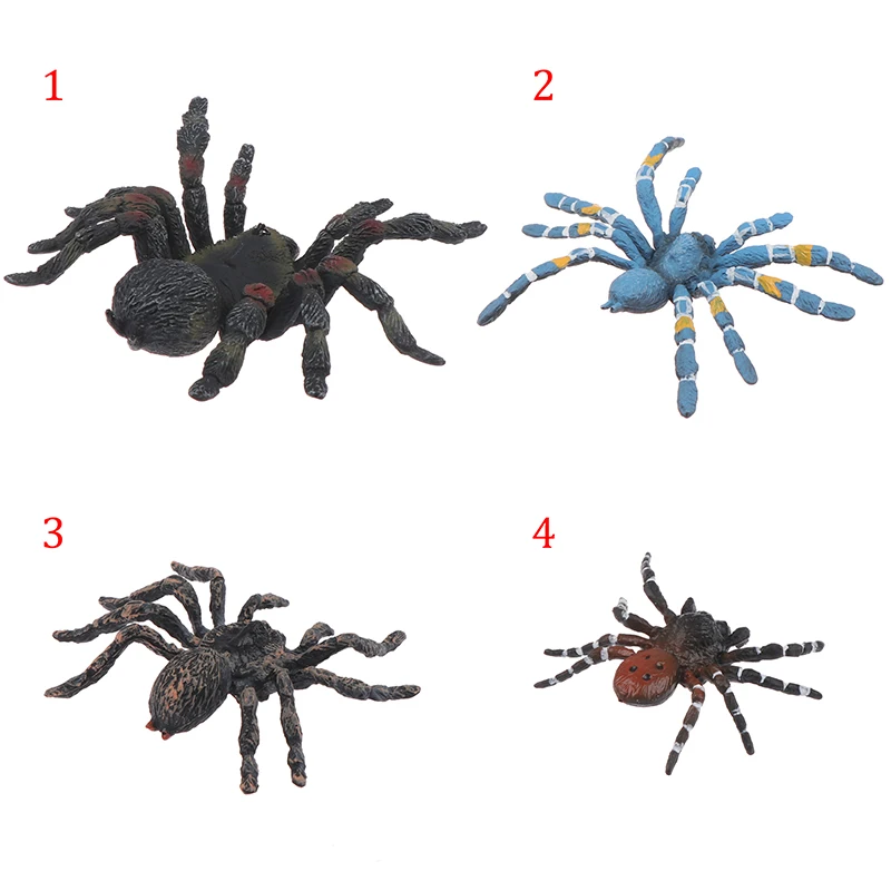 Animal Spider Models Simulated Figures Educational Toys for Children Kids Home Decor Mini Doll Figurine Toy Gift Funny Toys
Animal Spider Models Simulated Figures Educational Toys for Children Kids Home Decor Mini Doll Figurine Toy Gift Funny Toys