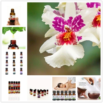 Pure Essential Oil Lavender Cymbidium Peppermint Lemongrass Frankincense Lemon Humidifier Diffuser Aromatherapy Oil 1 Bottle
Pure Essential Oil Lavender Cymbidium Peppermint Lemongrass Frankincense Lemon Humidifier Diffuser Aromatherapy Oil 1 Bottle