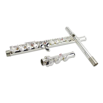 C Tone 16 Holes Silver Plated Obturator Flute Musical Instruments For Beginner Kids Education Christmas Birthday Gift - Silver
C Tone 16 Holes Silver Plated Obturator Flute Musical Instruments For Beginner Kids Education Christmas Birthday Gift - Silver