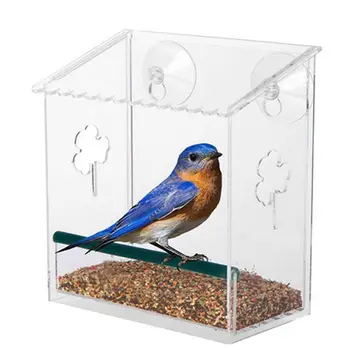 Hanging Removable Square Bird Feeder Clear Glass Window Seed Tray Easy to Refill 
Hanging Removable Square Bird Feeder Clear Glass Window Seed Tray Easy to Refill