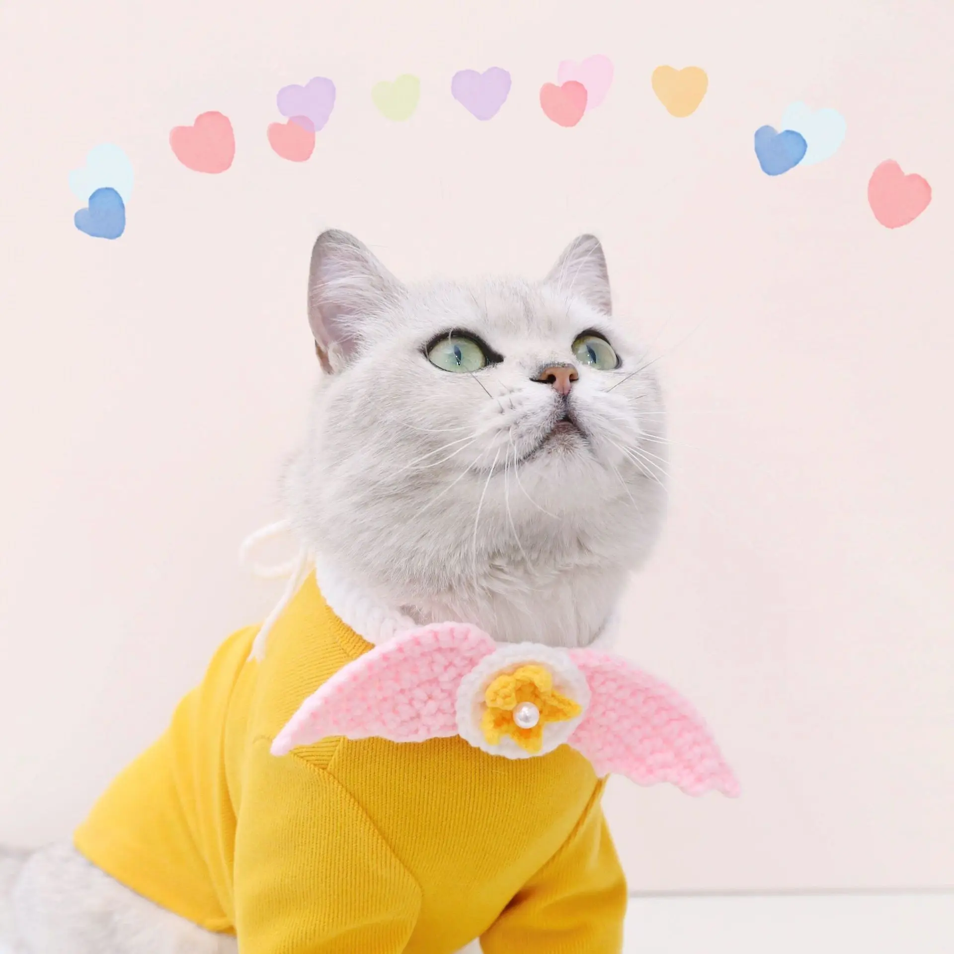 Cat Collar Knitted Wings Woolen Star Adjustable Bunny Rabbit Dog Necklace Birthday Pet Memorial Christmas Accessories
Cat Collar Knitted Wings Woolen Star Adjustable Bunny Rabbit Dog Necklace Birthday Pet Memorial Christmas Accessories