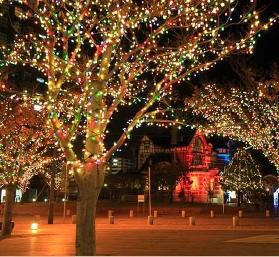 Multi-color Led String Light 10m 100led 220V EU Colorful Holiday Led Lighting Waterproof Outdoor Decoration Light Christmas
Multi-color Led String Light 10m 100led 220V EU Colorful Holiday Led Lighting Waterproof Outdoor Decoration Light Christmas