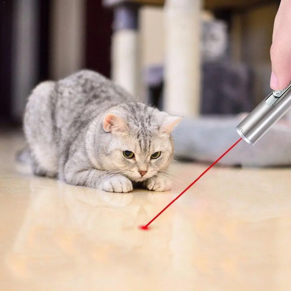 Cat Chaser Toys 2 in 1 Multi Function Funny Cats Laser LED Light Tool Toy Exercise Pointer Training Interactive USB Recharg Q0Z2
Cat Chaser Toys 2 in 1 Multi Function Funny Cats Laser LED Light Tool Toy Exercise Pointer Training Interactive USB Recharg Q0Z2