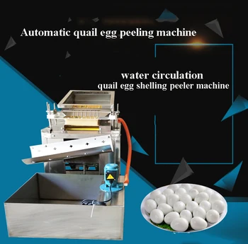 Automatic water circulation quail egg shell peeler shelling machine Electric Quail Egg Sheller Peeling Machine 10000pcs/hour
Automatic water circulation quail egg shell peeler shelling machine Electric Quail Egg Sheller Peeling Machine 10000pcs/hour