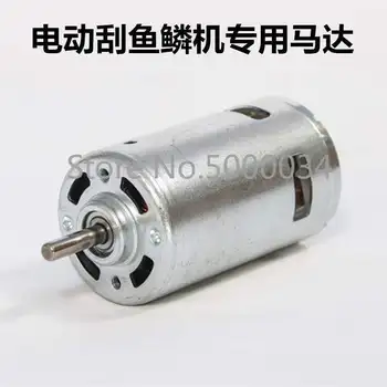 Swimming Scale Scale Motor Electric Scraping Machine Scales Scraper Fish Scale Peeler Kill Fish to Scale Tool Scalers Only Motor