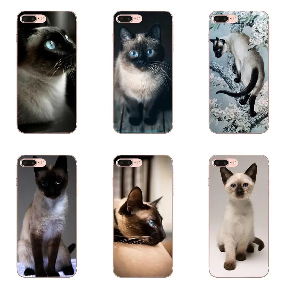 Blue Dot The Traditional Siamese Cat For Galaxy Alpha Note 10 Pro A10 A20 A20E A30 A40 A50 A60 A70 A80 A90 M10 M20 M30 M40
Blue Dot The Traditional Siamese Cat For Galaxy Alpha Note 10 Pro A10 A20 A20E A30 A40 A50 A60 A70 A80 A90 M10 M20 M30 M40