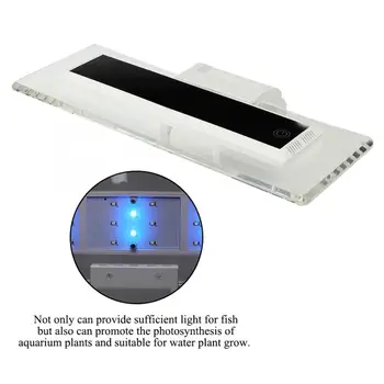 Waterproof LED Aquarium Lights LED Landscaping Light Fish Aquarium Water Plants Grow Lighting Lamp CN Plug 220V
Waterproof LED Aquarium Lights LED Landscaping Light Fish Aquarium Water Plants Grow Lighting Lamp CN Plug 220V