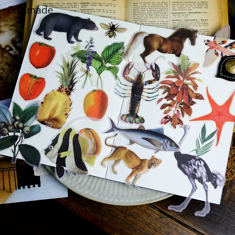Chzimade 50Pcs/lot Life Encyclopedia Animals Vellum Stickers For Scrapbooking Happy Planner Card Making Journaling Project
Chzimade 50Pcs/lot Life Encyclopedia Animals Vellum Stickers For Scrapbooking Happy Planner Card Making Journaling Project