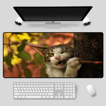 XGZ Exquisite animal mouse funny cat pattern table mat multi-size selection high-quality rubber keyboard mat 
XGZ Exquisite animal mouse funny cat pattern table mat multi-size selection high-quality rubber keyboard mat