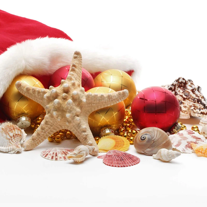 50Pcs Sea Shells Mixed Ocean Beach Seashells Various Sizes Natural Colorful Seashells Starfish Perfect for Beach Theme Party
50Pcs Sea Shells Mixed Ocean Beach Seashells Various Sizes Natural Colorful Seashells Starfish Perfect for Beach Theme Party