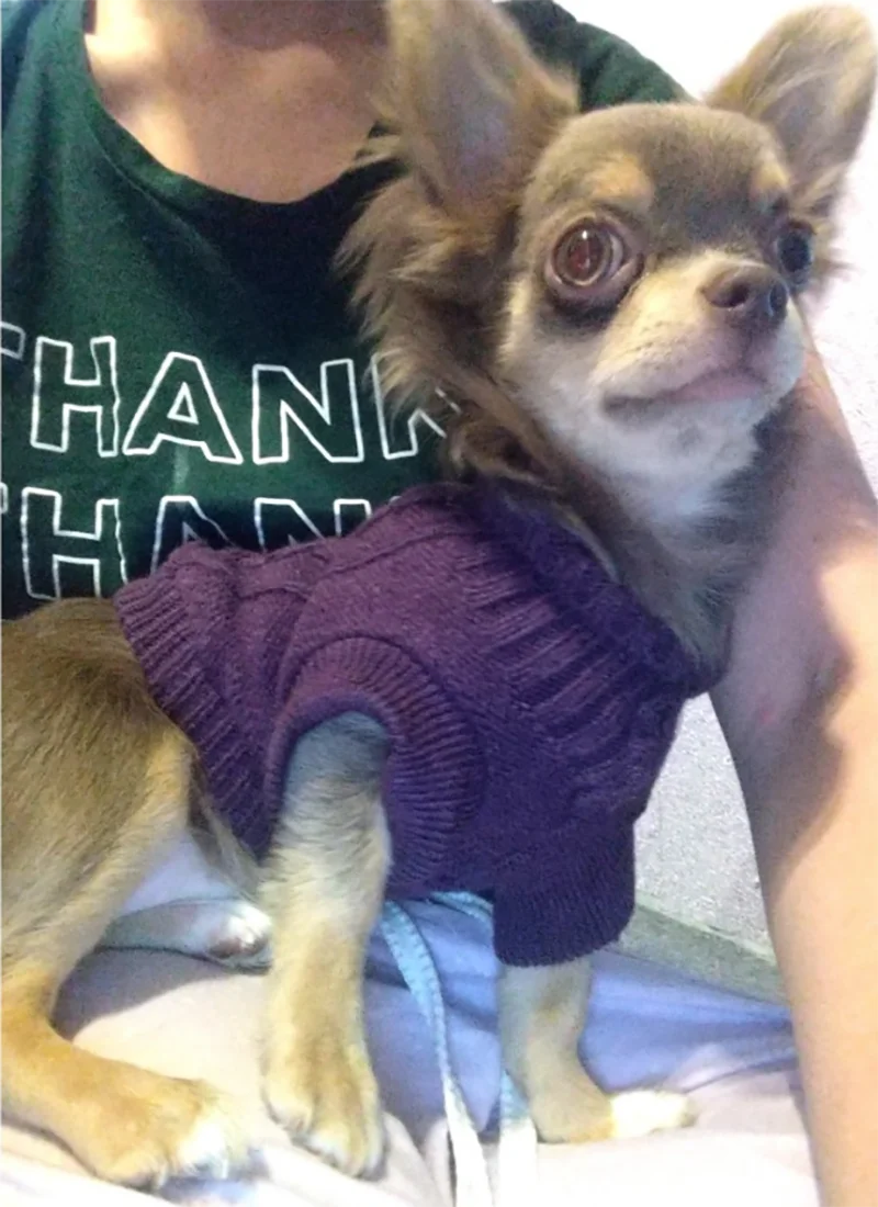 Dog Sweaters Winter Pet Clothes for Small Dogs Warm Sweater Coat Outfit. Dog Sweaters Winter Pet Clothes for Small Dogs Warm Sweater Coat Outfit.