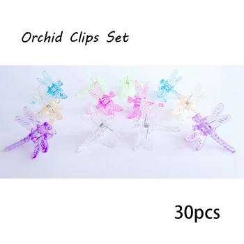 30PCS Clips Dragonfly Phalaenopsis Orchid Clips Multi-Colour Set Plant Stem Support Plastic 3.5*3.5cm
30PCS Clips Dragonfly Phalaenopsis Orchid Clips Multi-Colour Set Plant Stem Support Plastic 3.5*3.5cm