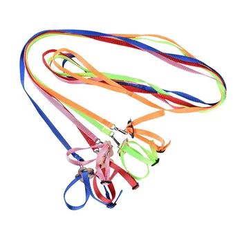 Adjustable Portable Color Parrot Bird Leash Outdoor Harness Training Rope Anti-Bite Fly Belt
Adjustable Portable Color Parrot Bird Leash Outdoor Harness Training Rope Anti-Bite Fly Belt