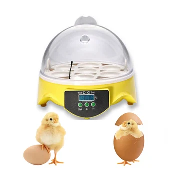 Semi-automatic Mini Egg Incubator 7 Eggs Hatchery machine Household Poultry Brooder Digital Temperature Control AA
Semi-automatic Mini Egg Incubator 7 Eggs Hatchery machine Household Poultry Brooder Digital Temperature Control AA
