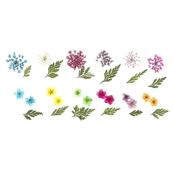 1 Box 30Pcs Mix Real Nail Lace Dried Flowers Leaf Nail Art Decoration DIY Tips Small Flowers Nails Stickers For Manicure Tools
1 Box 30Pcs Mix Real Nail Lace Dried Flowers Leaf Nail Art Decoration DIY Tips Small Flowers Nails Stickers For Manicure Tools