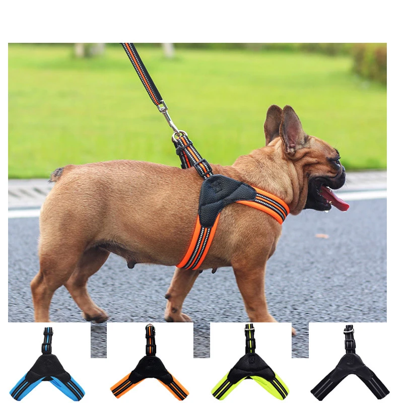 Hot Sale Dog Cat Harness Vest Lead Leash for Puppy Dogs Reflective Mesh Pet Harness for Small Medium Dog Collar Pet Products
Hot Sale Dog Cat Harness Vest Lead Leash for Puppy Dogs Reflective Mesh Pet Harness for Small Medium Dog Collar Pet Products