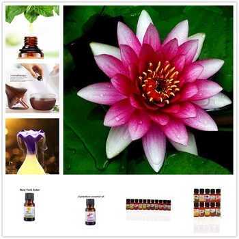 1Pcs Pure Essential Oils for Aromatherapy Diffusers Peony Longevity Flower Oil Home Air Care Diffuser Humidifier Essential Oil
1Pcs Pure Essential Oils for Aromatherapy Diffusers Peony Longevity Flower Oil Home Air Care Diffuser Humidifier Essential Oil