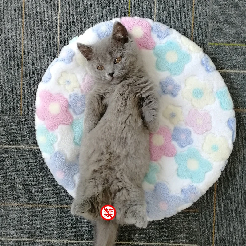 6 Cat Nest Four Seasons Universal Cat Supplies Cat House Cat Cat Bed Cat Mat Kennel Felt Cat Blanket Self Warming