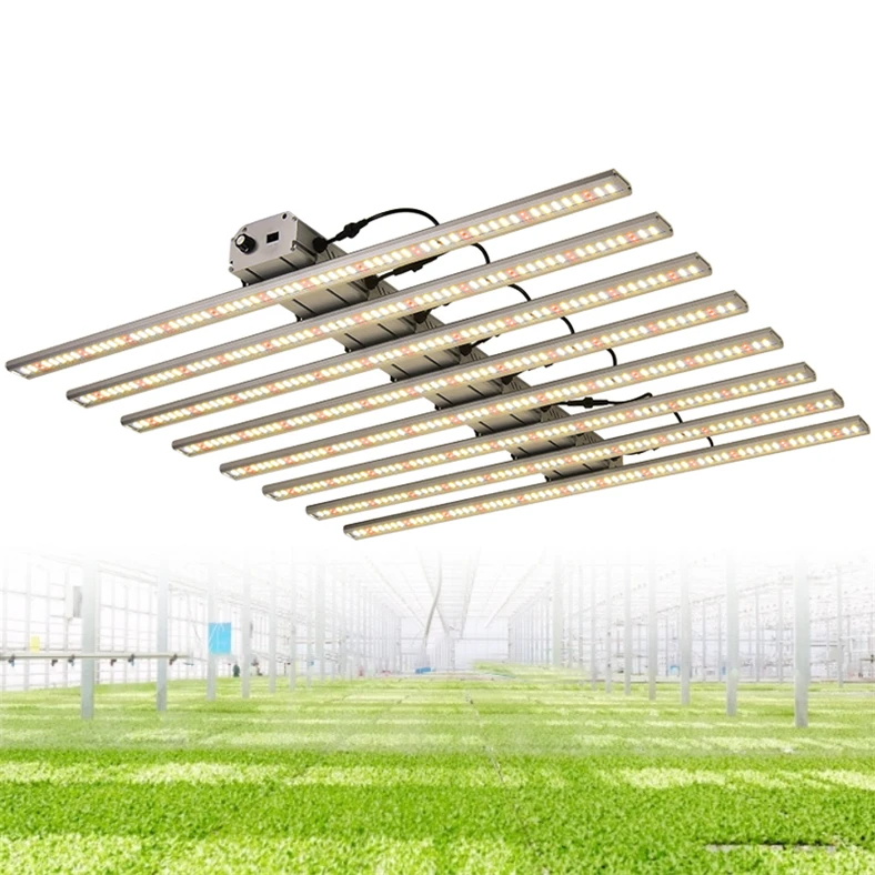 High Power Led Grow Light bar quantum Led Grow Light Full Spectrum 480W / 640W / 800W for Indoor Garden Plant
High Power Led Grow Light bar quantum Led Grow Light Full Spectrum 480W / 640W / 800W for Indoor Garden Plant