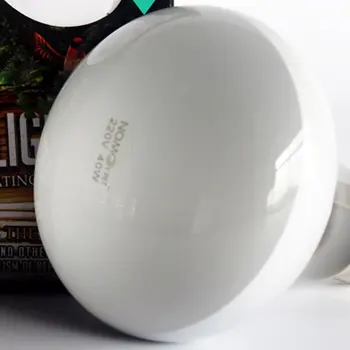 220V UVA Reptile Lamp Bulb Turtle Basking UV Light Bulbs Heating Lamp Amphibians Lizard Terrarium Temperature Controller 25/40W 
220V UVA Reptile Lamp Bulb Turtle Basking UV Light Bulbs Heating Lamp Amphibians Lizard Terrarium Temperature Controller 25/40W