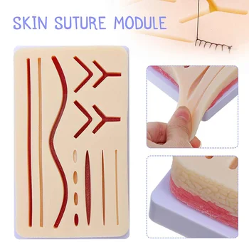 Skin Suture Practice Pad Medical Silicone Suture Wound Module Simulated Skins Traumatic Incision Simulation Training Tool
Skin Suture Practice Pad Medical Silicone Suture Wound Module Simulated Skins Traumatic Incision Simulation Training Tool