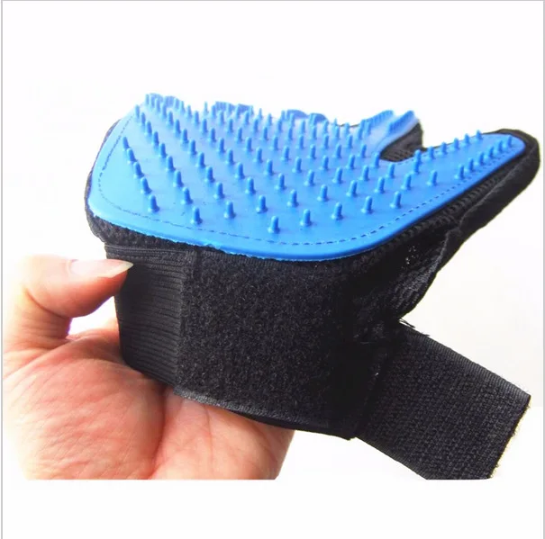 4281746095_1656409219