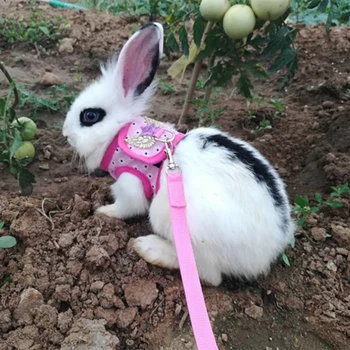 S/M/L Pet Harness Leash Set Adjustable Walking Leash Vest for Small Rabbit Chinchilla chinchilla cavy hedgehog and more 
S/M/L Pet Harness Leash Set Adjustable Walking Leash Vest for Small Rabbit Chinchilla chinchilla cavy hedgehog and more