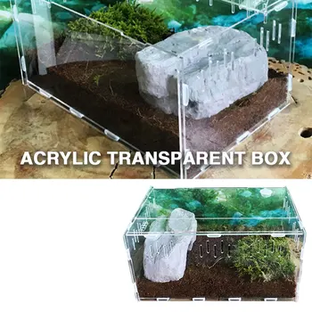 Transparent Reptile Terrarium Acrylic Climb The Box Cold Blooded Animals Pet Supplies Insect Reptile Box Durable
Transparent Reptile Terrarium Acrylic Climb The Box Cold Blooded Animals Pet Supplies Insect Reptile Box Durable